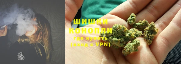трава Лабытнанги