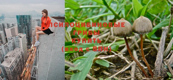 трава Лабытнанги