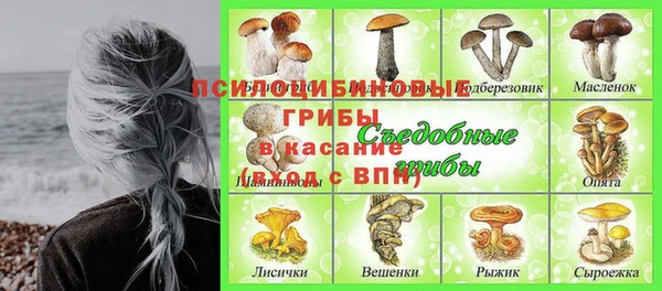 трава Лабытнанги