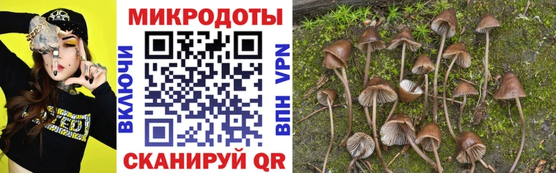 Псилоцибиновые грибы Cubensis  хочу наркоту  Приволжский 